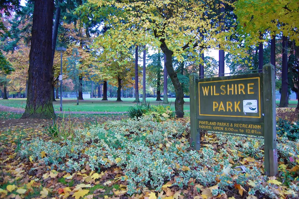 Wilshire Park Off Leash Area photo 1